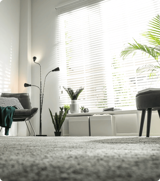 Carpet that feels soft and inviting while durable for everyday lif